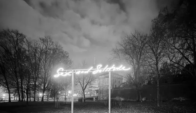 Sex and Solitude - Tracey Emin / photo by apb